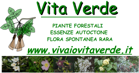 Vivaio piante biologiche